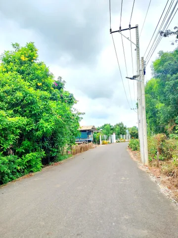Bán Đất 271m2 có sẵn 100 m2 thổ cư giá 540 triệu tại Xã Tân Hiệp Huyện Phú Giáo Bình Dương