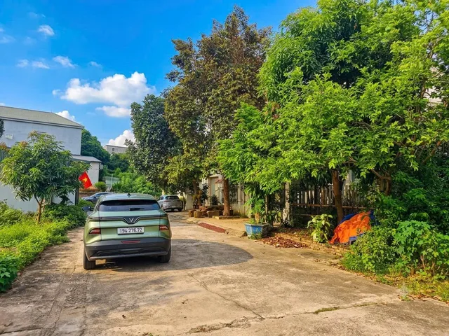 Bán Đất 122.8m2 có sẵn 122.8 m2 thổ cư giá 5.1 tỷ tại Xã Trưng Vương Thành phố Việt Trì Phú Thọ