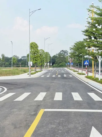 Bán Đất 90m2 có sẵn 90 m2 thổ cư giá 4.5 tỷ tại Xã Trưng Vương Thành phố Việt Trì Phú Thọ