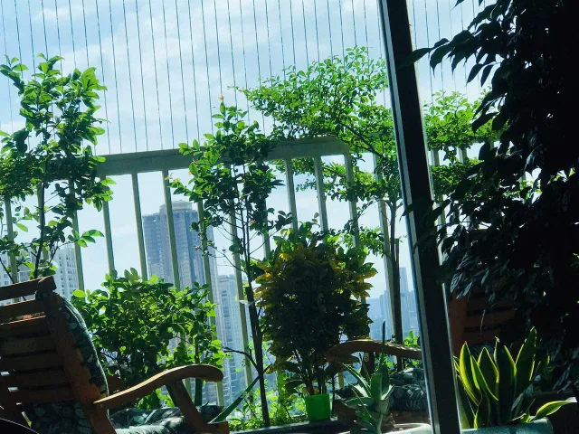 HOA HẬU 3PN view Dương Nội tại Ecolife Capitol ĐANG BÁN GẤP giá 8.9 tỷ