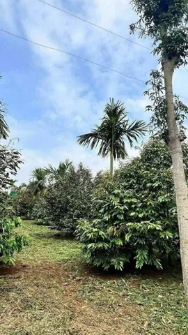 Bán Đất 940m2 giá 1 tỷ tại Xã Cuor Đăng Huyện Cư M'gar Đắk Lắk