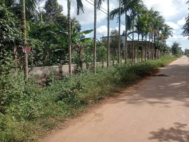Bán Đất 115m2 có sẵn 60 m2 thổ cư giá 600 triệu tại Xã Hòa Đông Huyện Krông Pắc Đắk Lắk