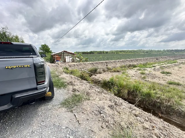 Bán 15ha đất trồng lúa. Tại Long An cũ. 250tr/1000m (có bán lẻ)