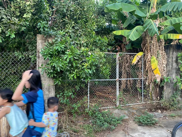 🔥 BÁN ĐẤT VƯỜN MINI NGHĨA DÕNG - GIÁ CHỈ 1T2XX 🔥