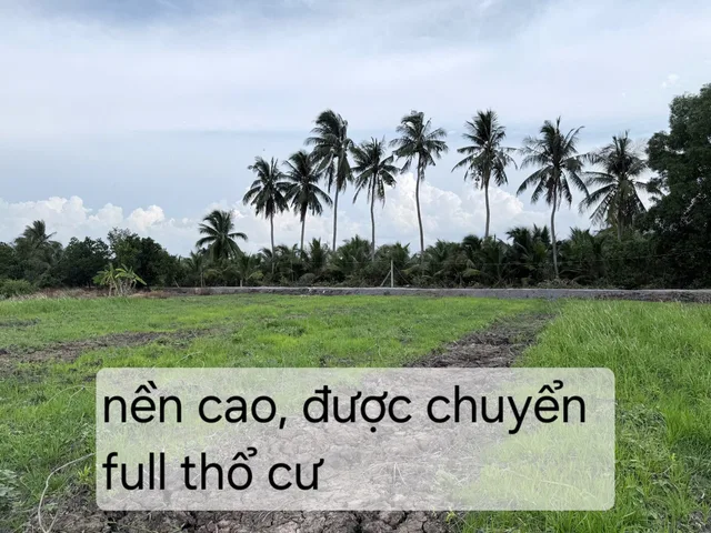 Bán Đất 700m2 giá 630 triệu tại Xã Thạnh Hòa Huyện Bến Lức Long An