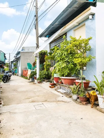 Bán Đất 200m2 có sẵn 200 m2 thổ cư giá 2.78 tỷ tại Đường Đt 826C (Hl 12) Xã Long Hậu Huyện Cần Giuộc Long An