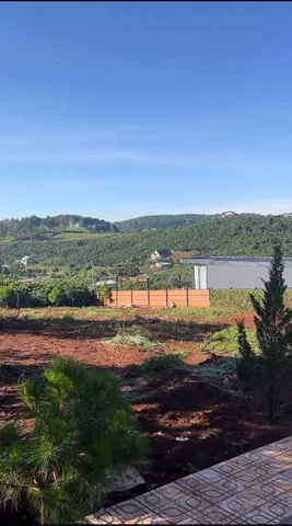 Đất ở xã Mê Linh view đồi Thông. Ngay cụm khu nghỉ dưỡng. 23km tới chợ Đà Lạt. GIá 470 triệu