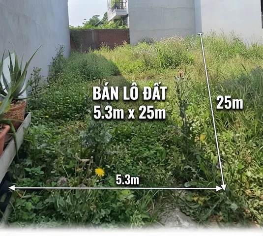 Bán đất mặt tiền Hà Huy Giáp An Phú Đông Quận 12 diện tích 5.3x25m, giá 9.6 tỷ, có dòng tiền 6 triệu/tháng, sổ hồng riêng, kinh doanh tốt