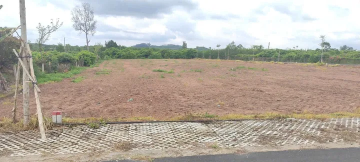 Bán Đất Biển Hồ Tràm có sẵn 100 m2 thổ cư giá 1.55 tỷ tại Xuyên Mộc - Hồ Tràm