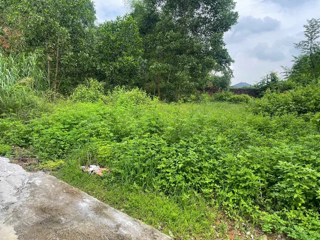 Bán Đất 587m2 tại Chính Mỹ , ngõ morrning cách đường thông chỉ có 20 m.l/h:076.231.9990 e Thúy