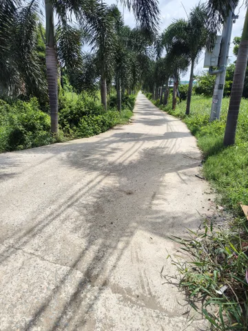 Bán Đất 2235m2 có sẵn 367 m2 thổ cư  tại  Xã Thuận Thành cũ nay là Mỹ Lộc ,Cần Giuộc