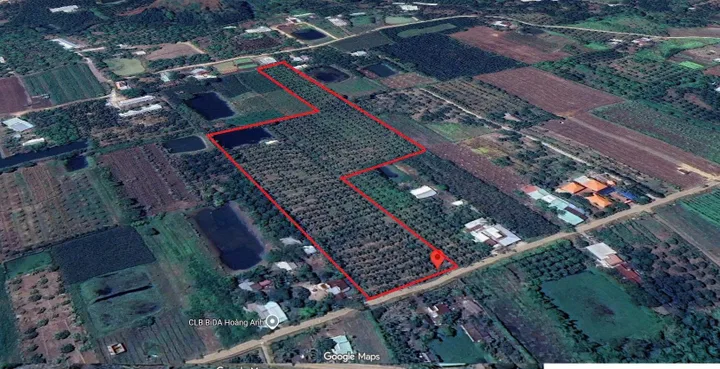 Bán Đất 21000m2 giá 7.5 tỷ tại - Chọn - Xã Xuân Đông Huyện Cẩm Mỹ Đồng Nai