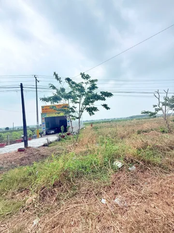 Bán Đất 1994m2 giá 3.6 tỷ tại - Chọn - Xã Tân Bình Thành phố Tây Ninh Tây Ninh