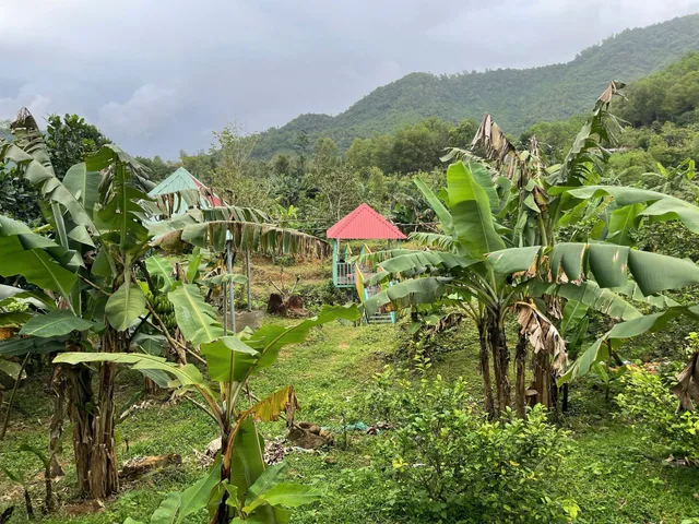 Cần bán Đất Đường Nguyễn Phướ 📌📌📌LÀM VIỆC TRỰC TIẾP GIÁ TỐT !!!