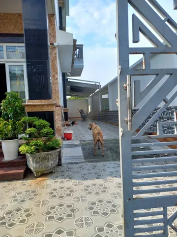 Bán Nhà riêng 232m2 có sẵn 232 m2 thổ cư giá 13 tỷ tại Đường D12 Phường Tân Hòa Thành phố Biên Hòa Đồng Nai
