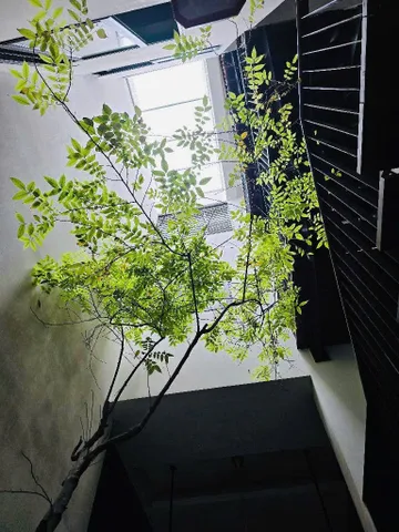 CHỈ 19.6 TỶ --> BÁN NHÀ PHỐ VẠN PHÚC - 55M2 - 6M MẶT TIỀN - 5 TẦNG - 2 THOÁNG - Ô TÔ VÀO NHÀ - KINH DOANH - VỊ TRÍ ĐẸP - KHU DÂN TRÍ