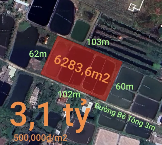 Bán Đất 6283m2 giá 3.1 tỷ tại Xã Nhựt Ninh Huyện Tân Trụ Long An