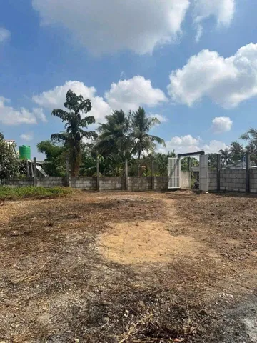 Bán Đất 1000m2 giá 1.15 tỷ tại Đường ĐT 826 Xã Mỹ Lệ Huyện Cần Đước Long An