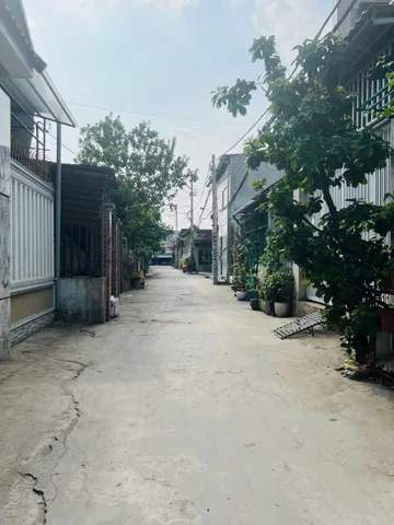 Bán Nhà riêng 47.3m2 có sẵn 47.3 m2 thổ cư giá 1.29 tỷ tại Đường số 234 Xã Vĩnh Lộc A Huyện Bình Chánh TP. Hồ Chí Minh