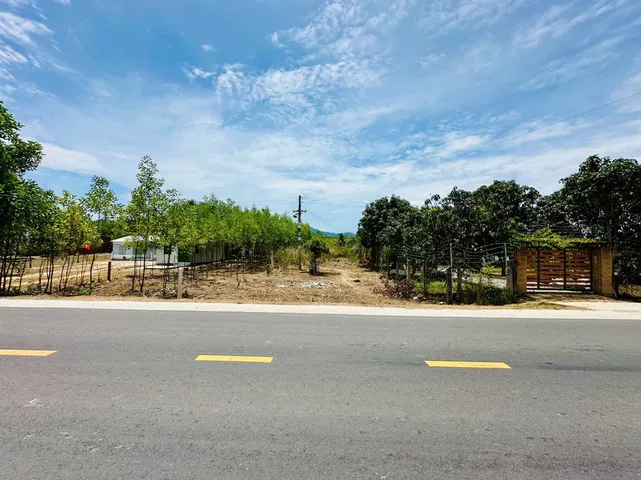 Bán Đất 1131.9m2 có sẵn 1000 m2 thổ cư giá 1.3 tỷ tại - Chọn - Xã Khánh Bình Huyện Khánh Vĩnh Khánh Hòa
