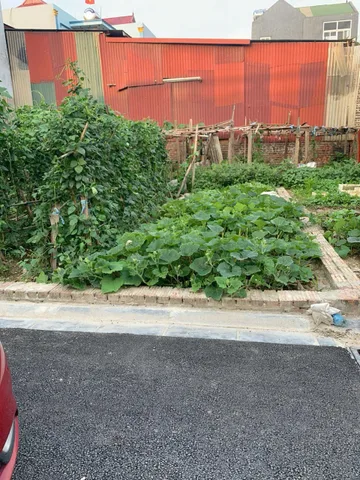 Bán đất thổ cư 55m2 tại Hà Lâm 2 Thụy Lâm Thư Lâm Hà Nội đường ô tô thông đẹp