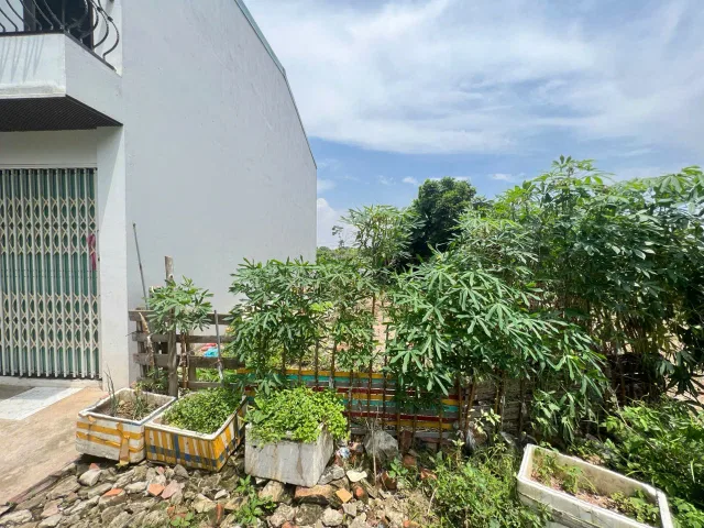 Bán đất thổ cư 66m2 tại Phúc Thọ Mai Lâm Đông Anh HN full thổ cư