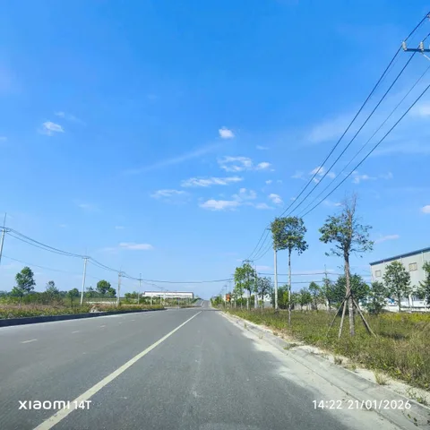 Chuyển nhượng đất công nghiệp Bàu Bàng, Bình Dương