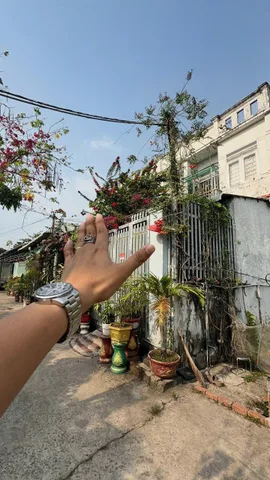 Bán Đất 137m2 có sẵn 96 m2 thổ cư giá 1.56 tỷ tại Đường số 97 Xã Tân Phú Trung Huyện Củ Chi TP. Hồ Chí Minh