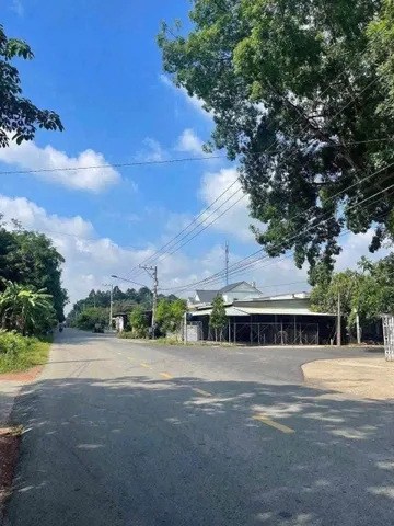 Cứu ngợp Long nguyên nhựa thông dân đông 5x36 thổ cư 100m ✅ gần Chợ Bến Cát đi xe 5', giá siêu ưu đãi