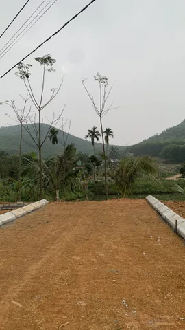 Bán Đất 3 mặt giáp đường có sẵn 1000 m2 thổ cư giá 3.2 tỷ tại - Xã Thọ Sơn Huyện Triệu Sơn Thanh Hóa
