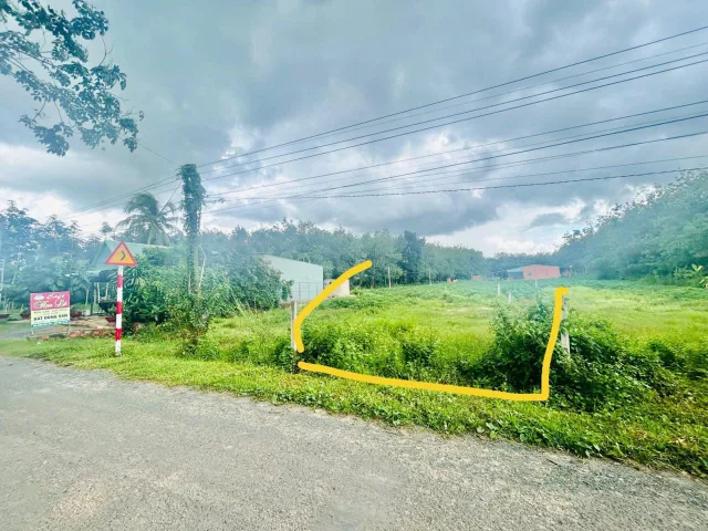 BÁN GẤP 10X50M=500M2 ĐẤT NGAY MT NHỰA THÔNG KCN, CHỢ DÂN CƯ ĐÔNG GIÁ 550TR/NỀN