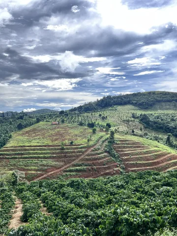 BÁN 14,2HA ĐẤT ĐẸP – XÃ QUẢNG TRỰC, TUY ĐỨC, ĐẮK NÔNG