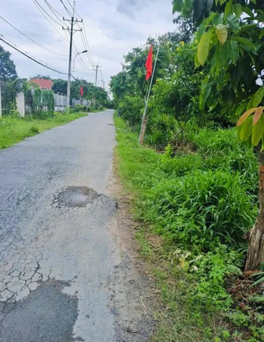 Bán Đất 2364m2 có sẵn 300 m2 thổ cư giá 12 tỷ tại Đường Nguyễn Thị Lăng Xã Tân Phú Trung Huyện Củ Chi TP. Hồ Chí Minh