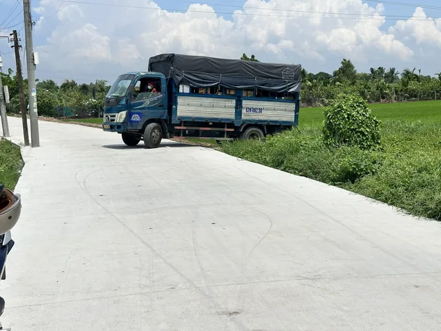 Bán 192m2 (có 155 m2 thổ cư) Đường Cây Điệp Xã Nhựt Chánh,  Bến Lức, Long An
