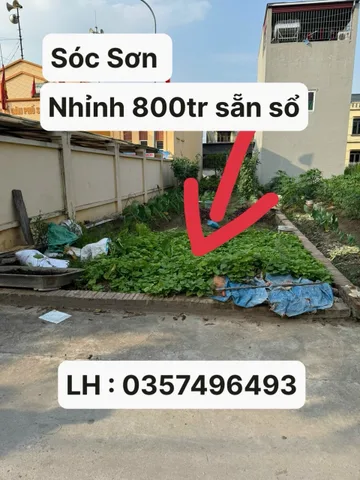 Cần tiền gấp lên mới bán lô đất bố vợ cho