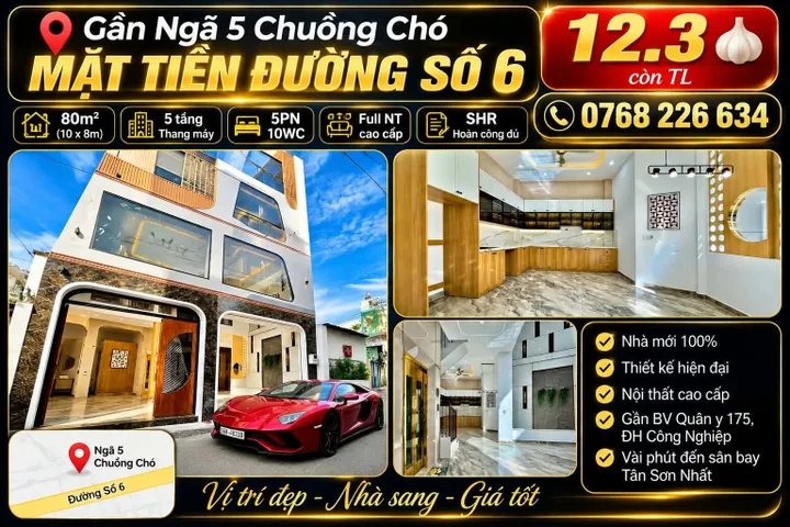 Bán Nhà riêng 80m2 có sẵn 80 m2 thổ cư giá 12.3 tỷ tại Đường số 6 Phường 9 Quận Gò Vấp TP. Hồ Chí Minh