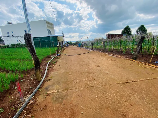 Bán Đất 198m2 có sẵn 115 m2 thổ cư giá 2 tỷ tại Đường Lê Hồng Phong Thị trấn Liên Nghĩa Huyện Đức Trọng Lâm Đồng