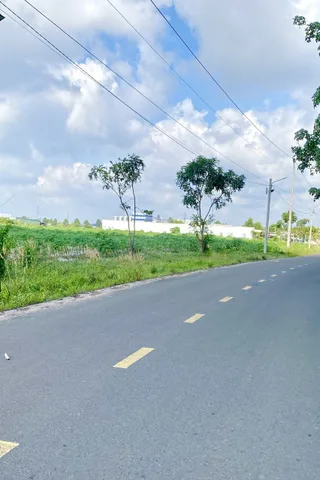 Bán Đất 1125m2 có sẵn 400 m2 thổ cư giá 545 triệu tại - Chọn - Xã Tân Hưng Huyện Bàu Bàng Bình Dương