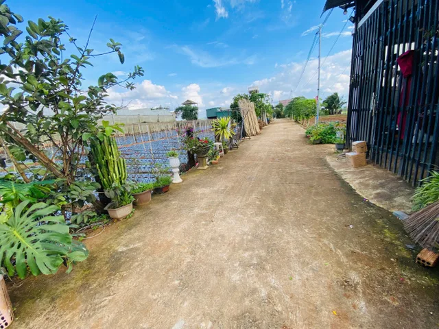 Bán Đất 112.5m2 có sẵn 75 m2 thổ cư giá 1.2 tỷ tại Đường Lê Hồng Phong Thị trấn Liên Nghĩa Huyện Đức Trọng Lâm Đồng