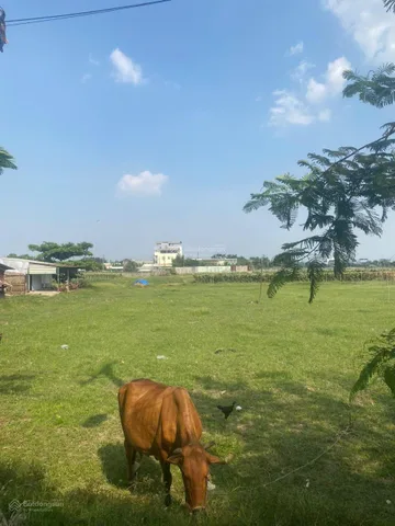 Bán Đất 565m2 giá 7.2 tỷ tại Xã Xuân Thới Sơn Huyện Hóc Môn TP. Hồ Chí Minh