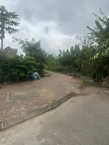 Bán Đất 176m2 tại dự án Anh Dũng 8, Phường Hưng Đạo, Hải Phòng