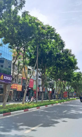 Cho thuê nhà MẶT PHỐ TRẦN ĐĂNG NINH, Cầu Giấy. 30 triệu/ tháng. Cho thuê: Văn phòng, Công ty, Phòng Khám, Spa, Nail mi, Cafe, Trung tâm đào tạo, hiệu thuốc, Shop thời trang...