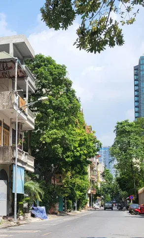 Cho thuê nhà MẶT PHỐ HOÀNG SÂM, Hoàng Quốc Việt. 23 triệu/tháng. Cho thuê: Văn phòng, Cty, Trung tâm dạy học, Kinh doanh trưng bày... KO hàng ăn