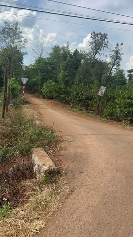 Bán Đất 662.7m2 giá 149 triệu tại Xã Ea Kuêh Huyện Cư M'gar Đắk Lắk
