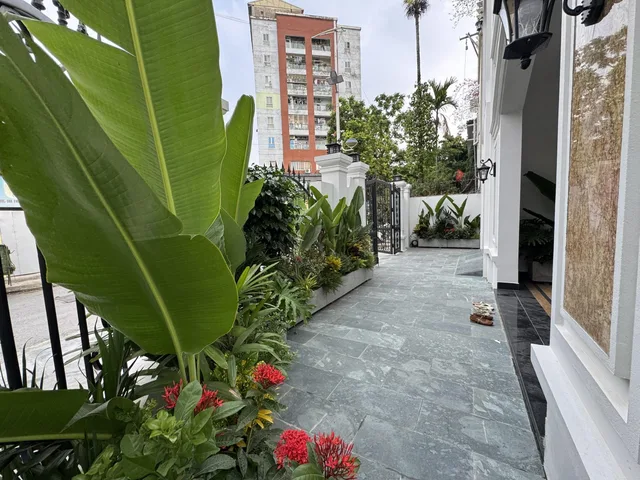 Bán Tòa nhà - Building 156m2 có sẵn 156 m2 thổ cư giá 102 tỷ tại Phường Hàng Bột Quận Đống Đa Hà Nội