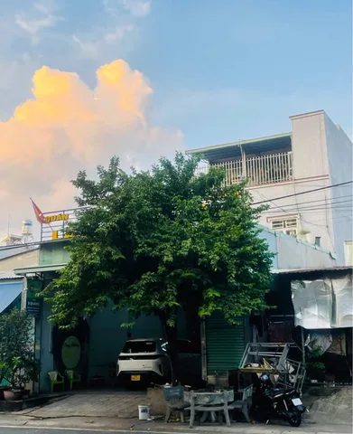 Bán Nhà riêng 155m2 có sẵn 155 m2 thổ cư giá 5.9 tỷ tại Phường Hoà Phú Thành phố Thủ Dầu Một Bình Dương
