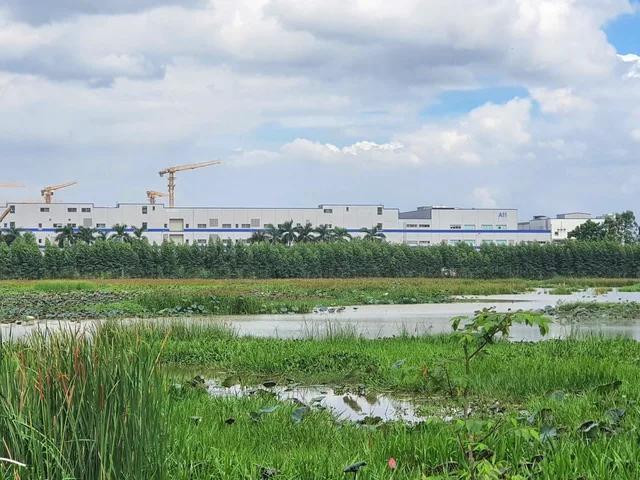 Bán Đất Mặt Hàng Cây Đồng Nhỏ - Xã Quang Châu Huyện Việt Yên Bắc Giang