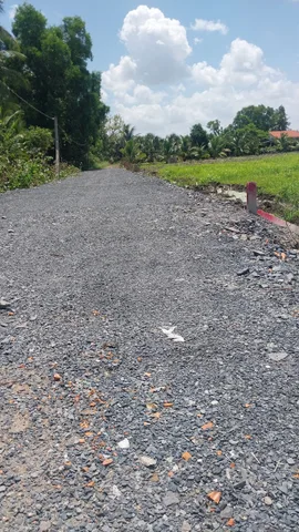 ĐẤT VƯỜN ĐANG TRỒNG CÂY ĂN TRÁI ( KHU VỰC CHUYỂN FULL THỔ CƯ )  530 triệu / 540MV - Xã Thạnh Hòa Huyện Bến Lức Long An