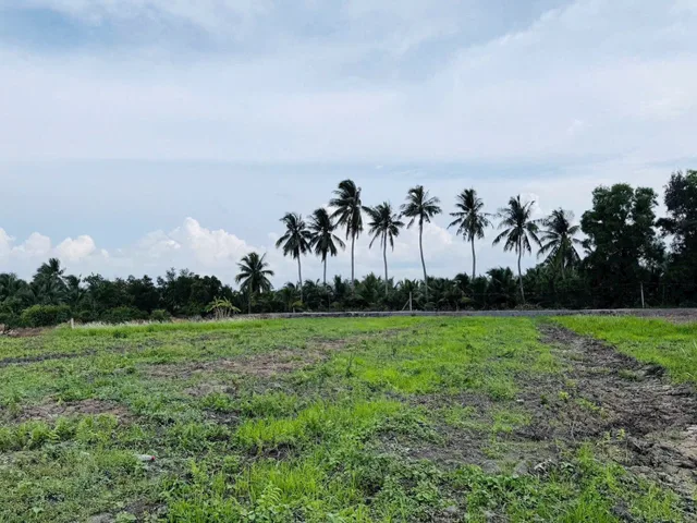 ĐẤT VƯỜN KHU VỰC CHO CHUYỂN FULL THỔ - 700m2 giá 630 triệu tại - Chọn - Xã Thạnh Hòa Huyện Bến Lức Long An