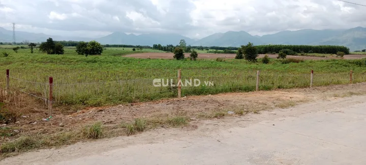 0053  1771 m2 ngang 48 dài 83 nở hậu 2.9 tỷ